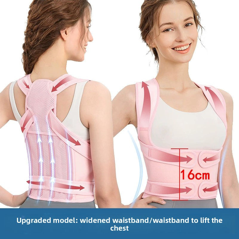 Posture Corrector Belt